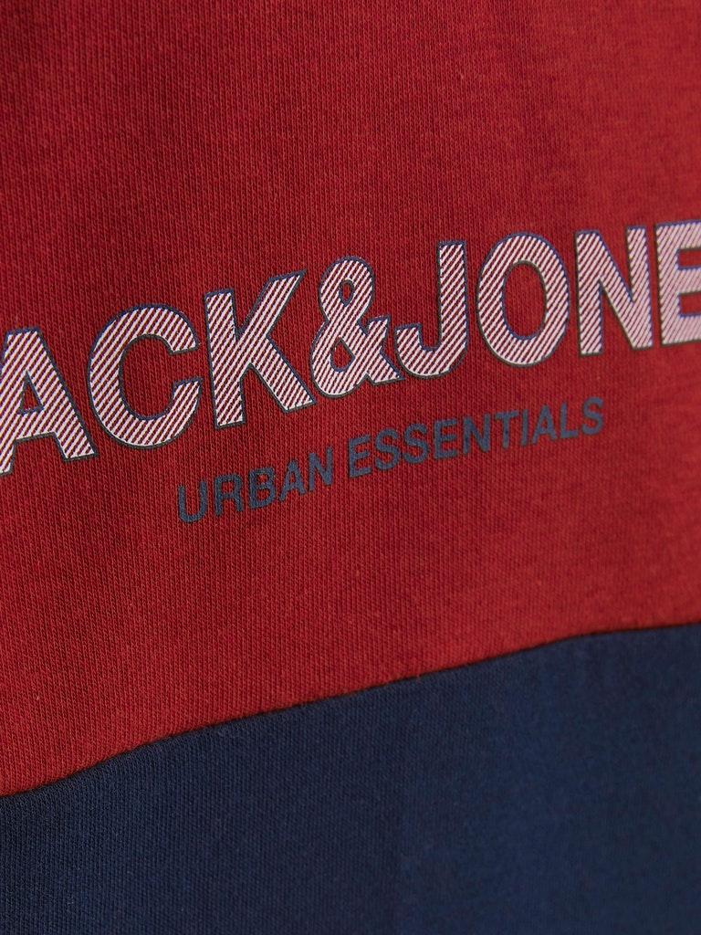 Jack & Jones Jungen Hoodie JJEURBAN BLOCKING SWEAT HOOD NOOS JNR