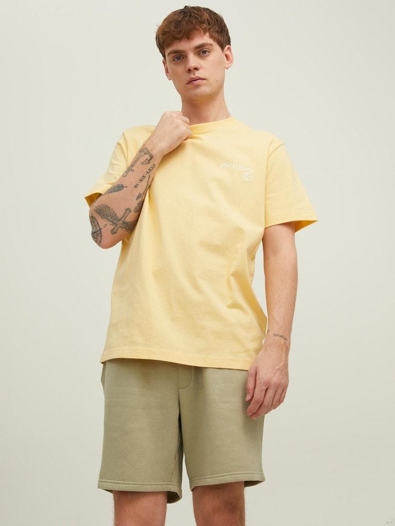 Jack & Jones Herren T-Shirt JORMILES TEE SS CREW NECK KA