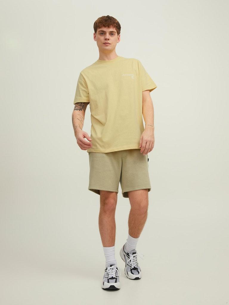 Jack & Jones Herren T-Shirt JORMILES TEE SS CREW NECK KA