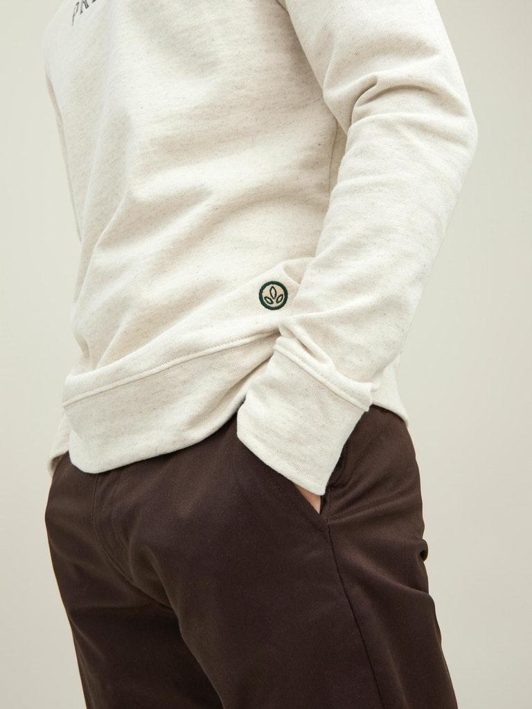 Jack & Jones Herren Pullover JJ X AGRALOOP SWEAT CREW NECK