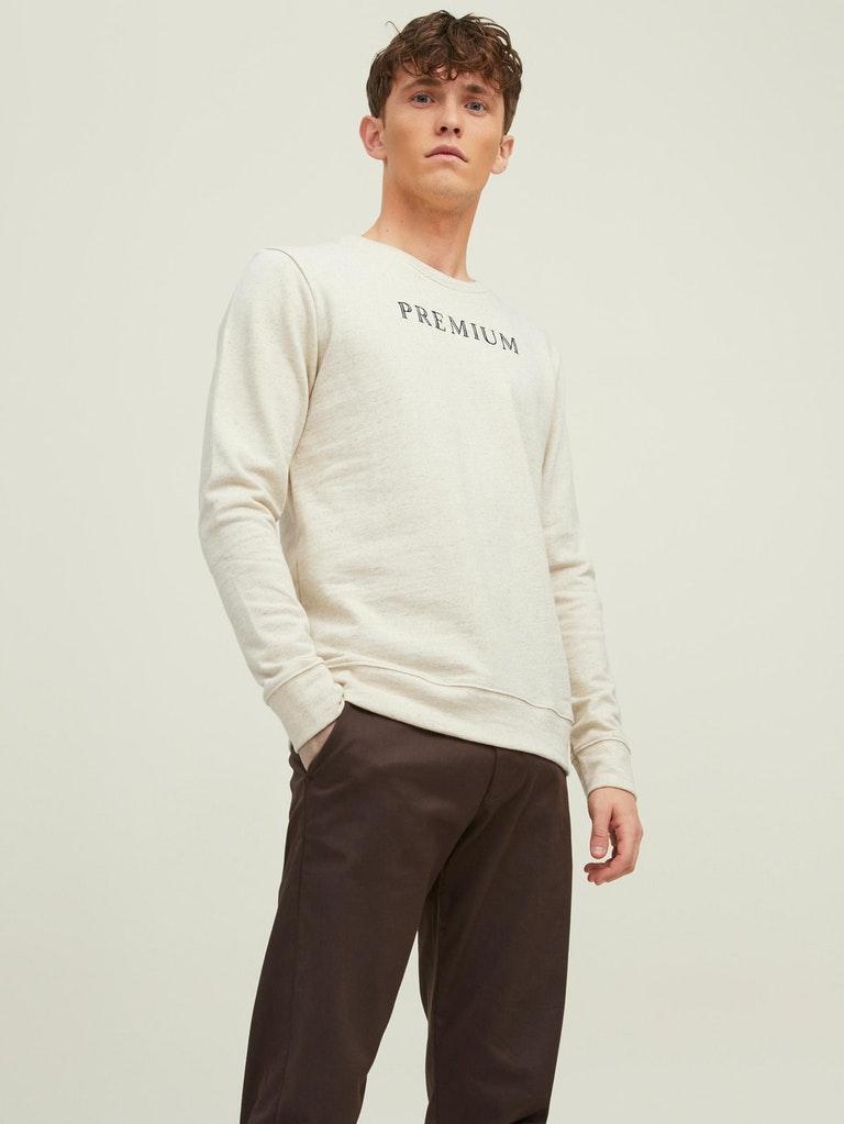 Jack & Jones Herren Pullover JJ X AGRALOOP SWEAT CREW NECK