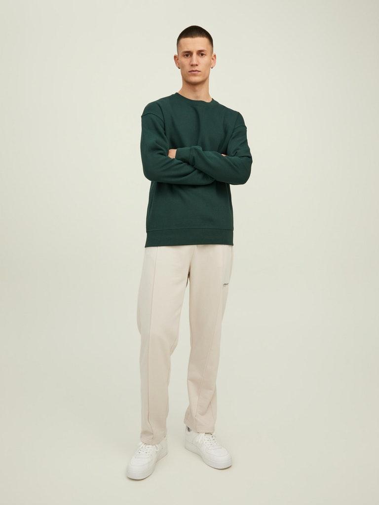 Jack & Jones Herren Pullover JJESTAR BASIC SWEAT CREW NECK NOOS