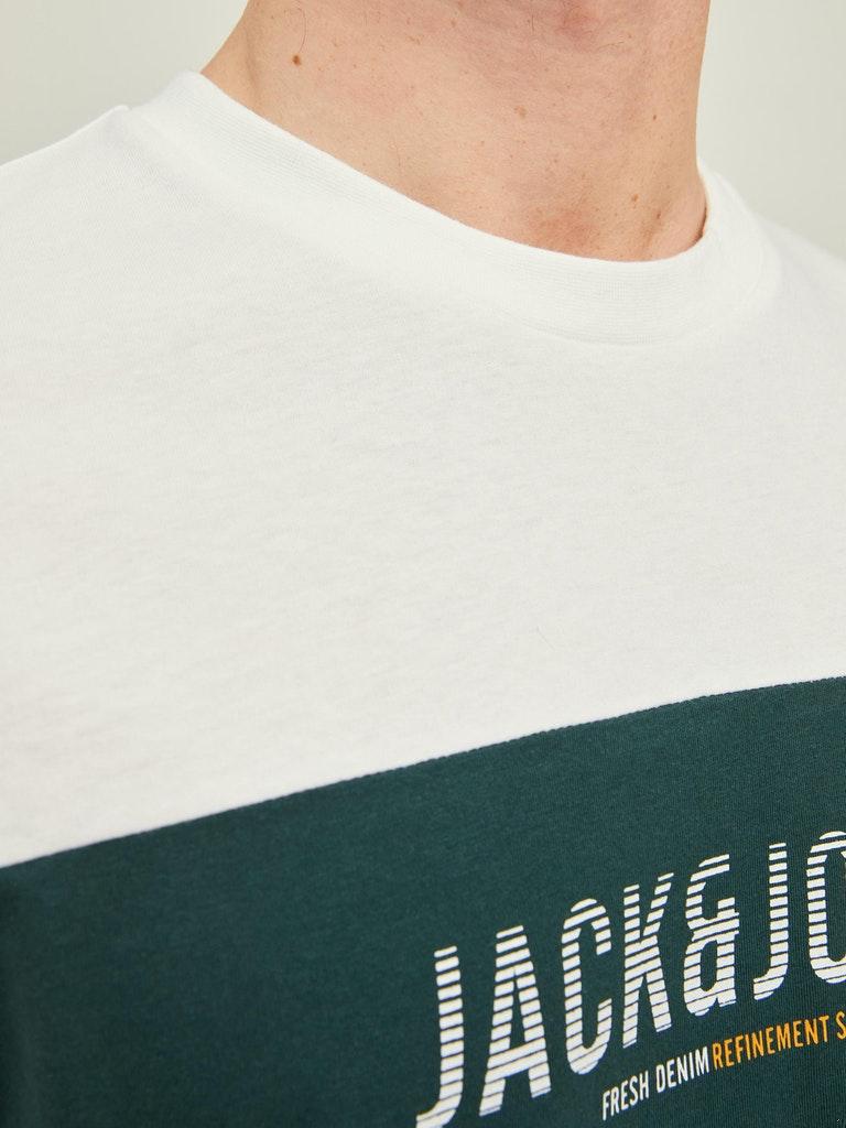 Jack & Jones Herren T-Shirt JJEDAN BLOCKING TEE SS O-NECK NOOS
