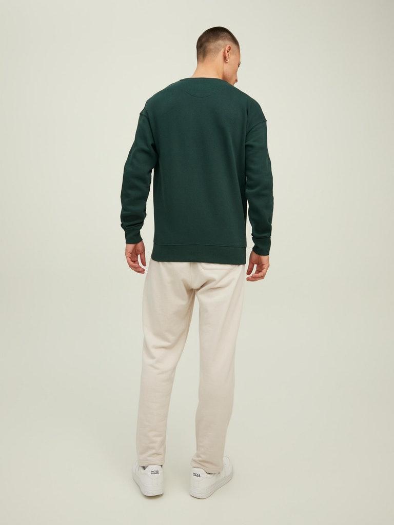 Jack & Jones Herren Pullover JJESTAR BASIC SWEAT CREW NECK NOOS