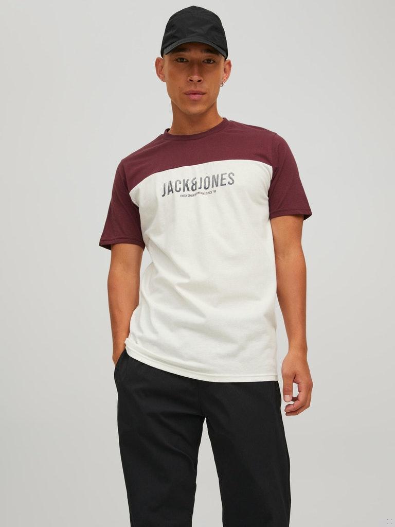 Jack & Jones Herren T-Shirt JJEDAN BLOCKING TEE SS O-NECK NOOS