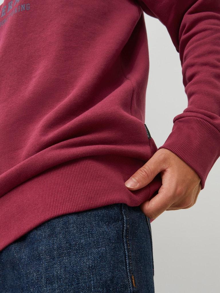 Jack & Jones Herren Hoodie JJELOGO SWEAT HOOD 2 COL 22/23 NOOS