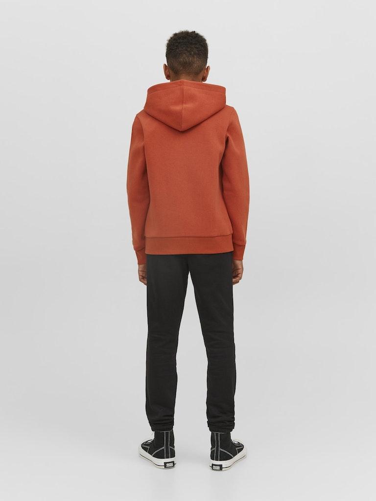 Jack & Jones Jungen Hoodie JJELOGO SWEAT HOOD 2 COL 22/23 NOOS JNR