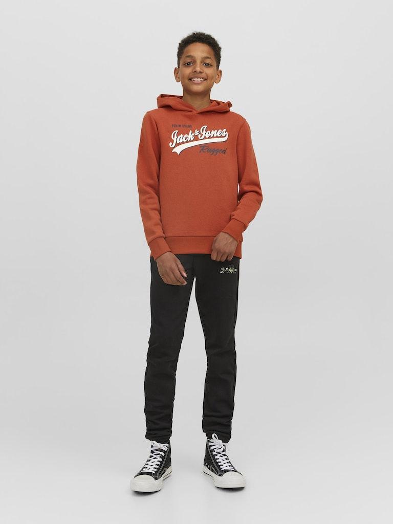 Jack & Jones Jungen Hoodie JJELOGO SWEAT HOOD 2 COL 22/23 NOOS JNR