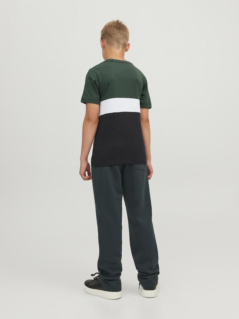 Jack & Jones Jungen T-Shirt JJEREID BLOCKING TEE SS SN JNR
