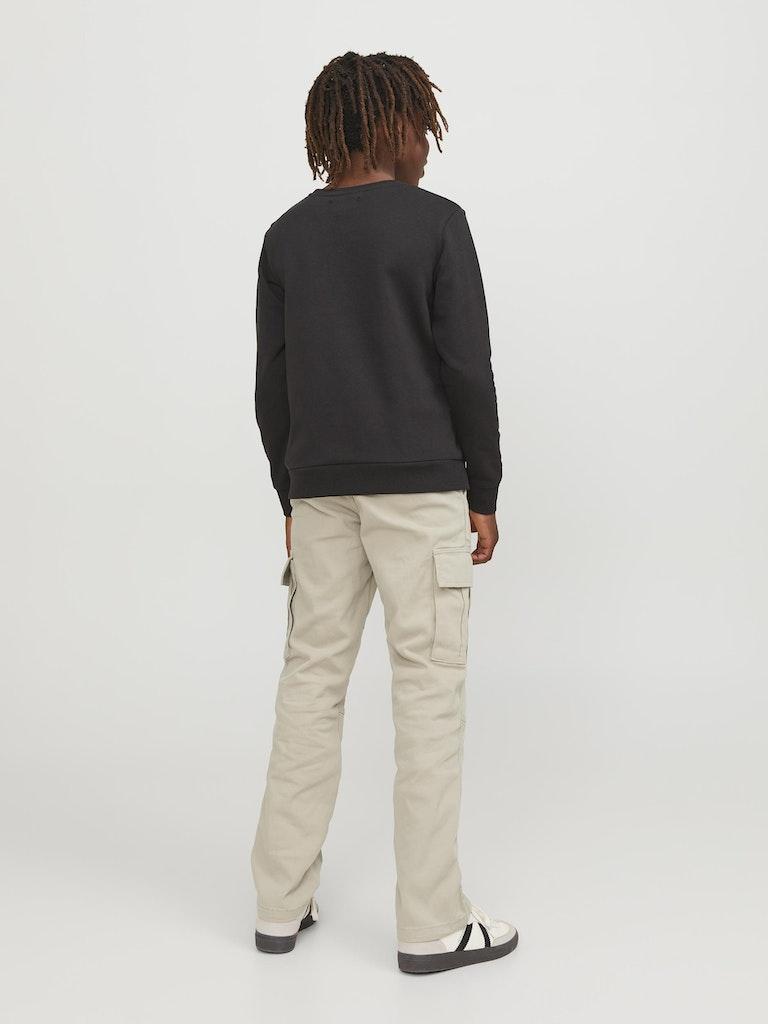 Jack & Jones Jungen Hose JSPTKANE JJHARLOW CARGO NOOS JNR