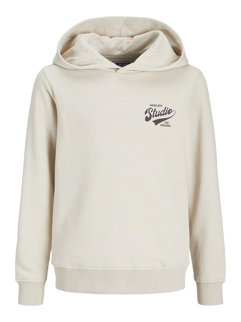 Jack & Jones Jungen Hoodie JJTREND SWEAT HOOD SMU JNR
