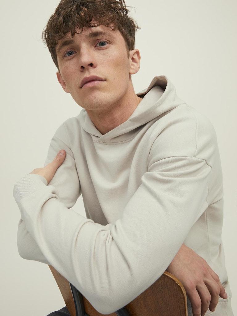 Jack & Jones Herren Pullover JORCLEAN SWEAT HOOD SN
