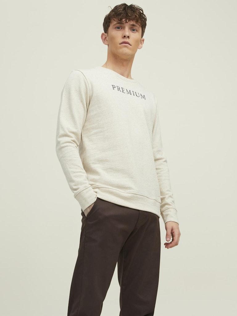 Jack & Jones Herren Pullover JJ X AGRALOOP SWEAT CREW NECK