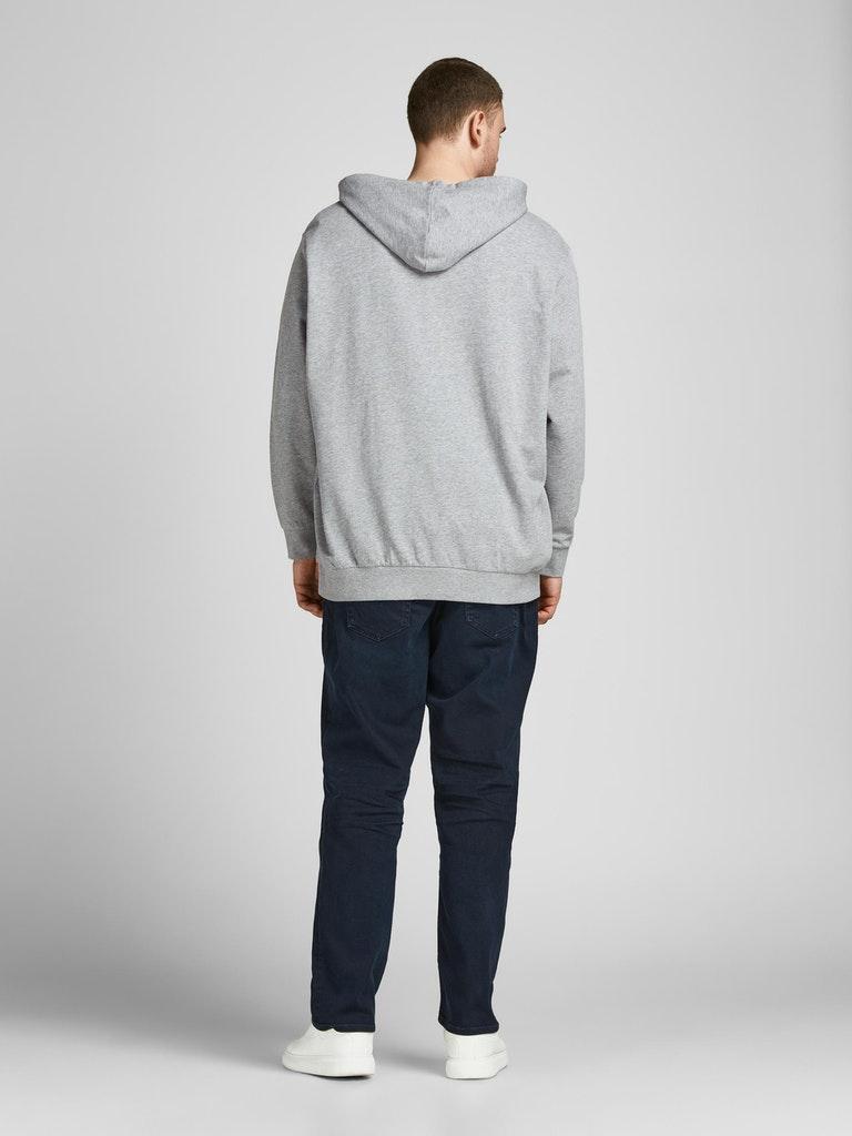 Jack & Jones Herren Hoodie JJESHARK SWEAT HOOD NOOS PLS