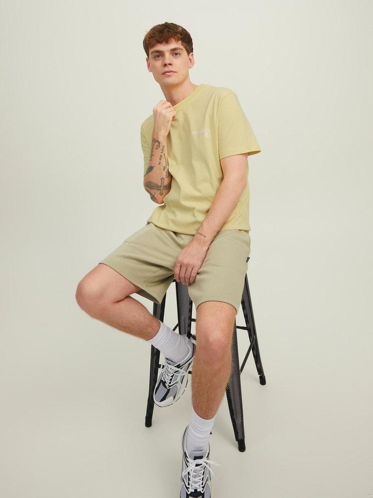 Jack & Jones Herren T-Shirt JORMILES TEE SS CREW NECK KA