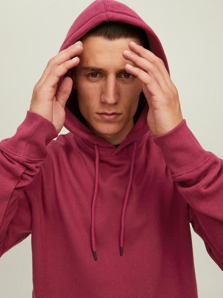 Jack & Jones Herren Hoodie JJESTAR BASIC SWEAT HOOD NOOS
