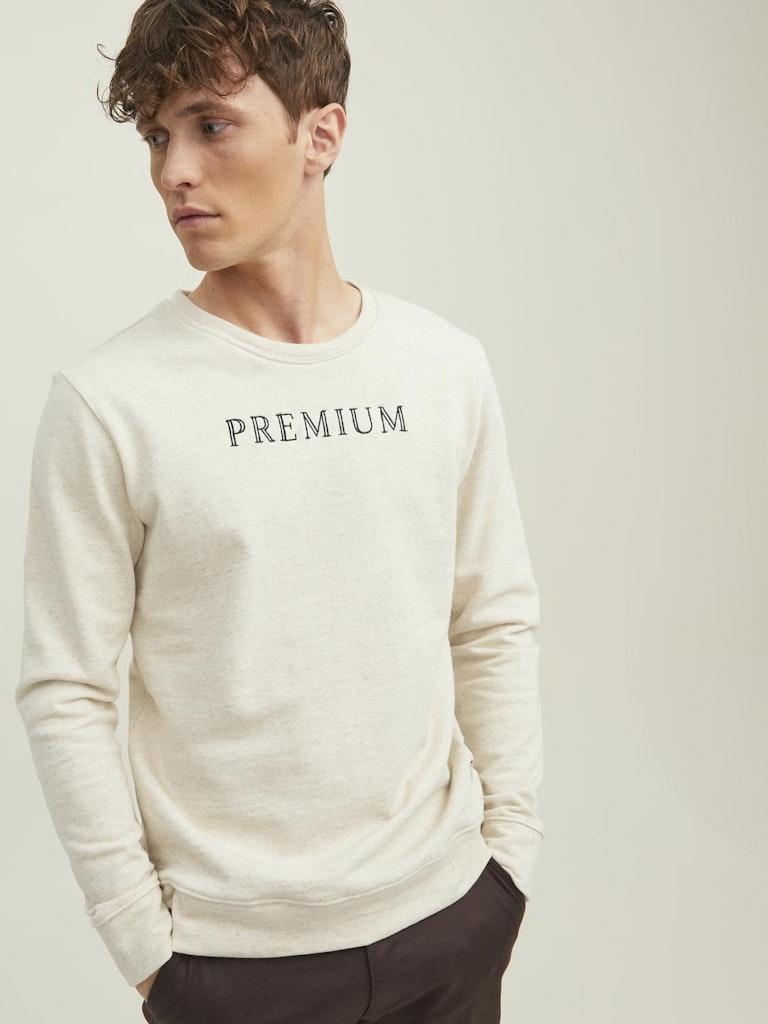 Jack & Jones Herren Pullover JJ X AGRALOOP SWEAT CREW NECK