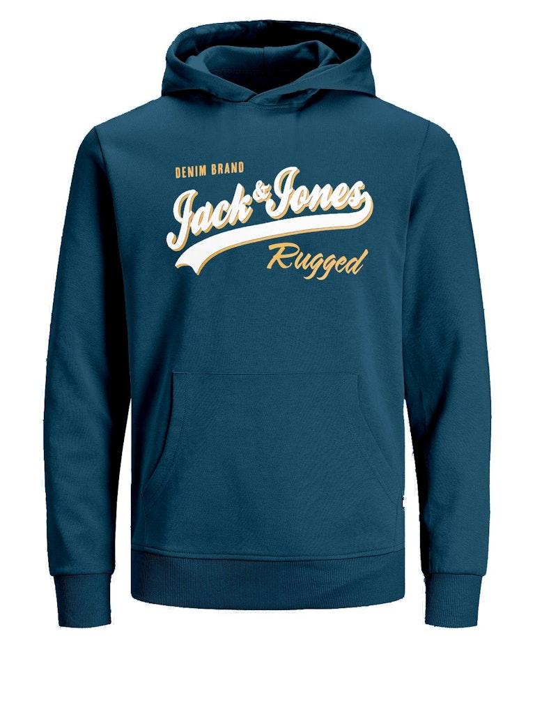 Jack & Jones Jungen Hoodie JJELOGO SWEAT HOOD 2 COL 22/23 NOOS JNR